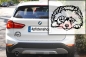 Preview: Autoaufkleber "Zwergspitz (Pomeranian)" Kontur