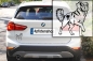 Preview: Autoaufkleber "Duck Tolling Retriever" Kontur
