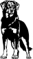 Preview: Aufkleber Beauceron