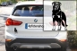 Preview: Autoaufkleber "Beauceron" Kontur