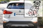 Preview: Autoaufkleber "Brüsseler Griffon" Kontur