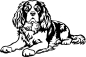 Preview: Aufkleber King Charles Spaniel
