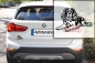 Preview: Autoaufkleber "King Charles Spaniel" Kontur