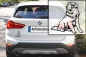 Preview: Autoaufkleber "Maremmano" Kontur