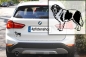 Preview: Autoaufkleber "Landseer" Kontur