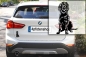 Preview: Autoaufkleber "Pudelpointer" Kontur