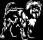 Preview: Aufkleber Affenpinscher