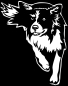 Preview: Aufkleber Border Collie