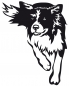 Preview: Aufkleber Border Collie