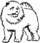 Preview: Aufkleber Chow Chow