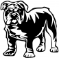 Preview: Aufkleber Englische Bulldogge