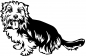 Preview: Aufkleber Norfolk Terrier