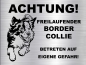 Preview: Hundeschild Border Collie