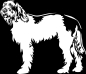 Preview: Aufkleber Spinone Italiano