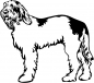 Preview: Aufkleber Spinone Italiano