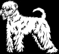 Preview: Aufkleber Wheaten Terrier