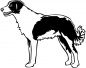 Preview: Aufkleber Border Collie