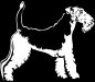 Preview: Aufkleber Foxterrier