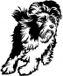 Preview: Aufkleber Bearded Collie