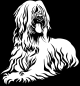 Preview: Aufkleber Briard