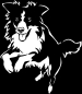 Preview: Aufkleber Border Collie