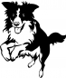 Preview: Aufkleber Border Collie