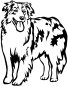 Preview: Aufkleber Australian Shepherd