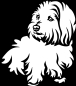 Preview: Aufkleber Coton de Tulear