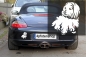 Preview: Autoaufkleber "Coton de Tulear" Kontur