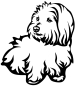 Preview: Aufkleber Coton de Tulear