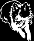 Preview: Aufkleber Border Collie