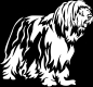 Preview: Aufkleber Bearded Collie