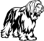 Preview: Aufkleber Bearded Collie