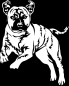 Preview: Aufkleber American Staffordshire Terrier