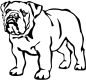 Preview: Aufkleber Englische Bulldogge