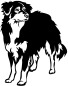 Preview: Aufkleber Australian Shepherd