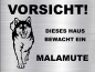 Preview: Hundewarnschild in edler, gebürsteter Edelstahloptik - Alaskan Malamute