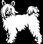 Preview: Aufkleber Chinese Crested