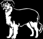 Preview: Aufkleber Australian Shepherd