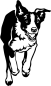 Preview: Aufkleber Border Collie