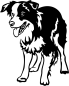 Preview: Aufkleber Border Collie