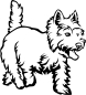 Preview: Aufkleber West Highland Terrier