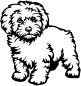 Preview: Aufkleber Maltipoo