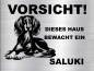 Preview: Hundeschild Saluki