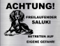 Preview: Hundeschild Saluki