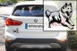 Preview: Autoaufkleber "Schweizer Schäferhund" Kontur