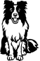 Preview: Aufkleber Border Collie