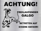 Preview: Hundeschild Galgo