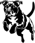 Preview: Aufkleber Staffordshire Bullterrier