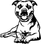 Preview: Autoaufkleber American Staffordshire Terrier